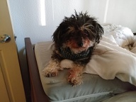 MNS G38 IN10 N9 O0.50 Y0.00 C0.00 YT0 CT0 s0 sY8.00 S500 C20   FM0   FC000000000:zzzzzz0 51ad 027805a06a449a4d445c1220 d98 ef1c8 4d 57363246316  0  0  0  0 0 0 0 02ff  69  561d83a 030a  6f  5e1f03a 0315  71  5b1de3a 0320  6f  5b1e33a 030a  61  4f1e83a 0 33f15 4 32a15 3 0 3 0 4 0 5 0 7 4 4 5 7 7 5 711281c10 52115 c 8 6 a e b 7 7 6 812 a a18151129 c1d13 8 62a241916 6 a 7 726282320 8 5 b 7 8 d 7 9137e14e41370152d137e14e41370152d137e14e41370152d137e14e41370152d137e14e41370152d137e14e41370152d137e14e41370152d137e14e41370152d137e14e41370152d137e14e41370152d137e14e41370152d137e14e41370152d137e14e41370152d137e14e41370152d137e14e41370152d137e14e41370152d137e14e41370152d137e14e41370152d137e14e41370152d137e14e41370152d137e14e41370152d137e14e41370152d137e14e41370152d137e14e41370152d137e14e41370152d137e14e41370152d137e14e41370152d137e14e41370152d137e14e41370152d137e14e41370152d137e14e41370152d137e14e41370152d137e14e41370152d137e14e41370152d137e14e41370152d137e14e41370152d                                                                                                                                                                                                                                                                                                                                                                                                                                                                                                                                                                                                                                                                                                                                                                                                                                                                                                                                                                                                                                                                                                                                                                                                                                                                                                                                                                                                                                                                                                                                                                                                                                                                                                                                                                                                                                                                                                                                                                                                                                                                                                                                                                                                                                                                                                                                                                                                                                                                                                                                                                                                                                                                                                                                                                                                                                                                                                                                                                                                                                                                                                                                                                                                                                                                                                                                                                                                                                                                                                                                                                                                                                                                                                                                                                                                                                                                                                                                                                                                                                                                                                                                                                                                                                                                                                                